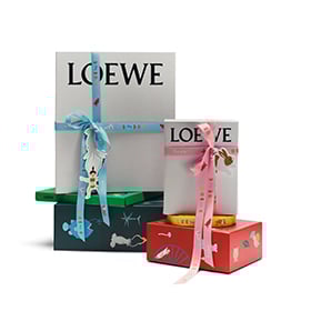 Loewe italy website store